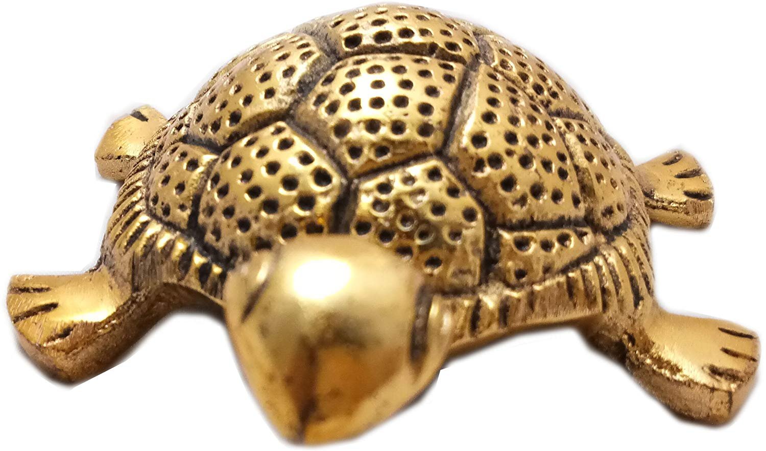 Feng Shui Golden Tortoise on Glass Plate for Good Luck and Vaastu